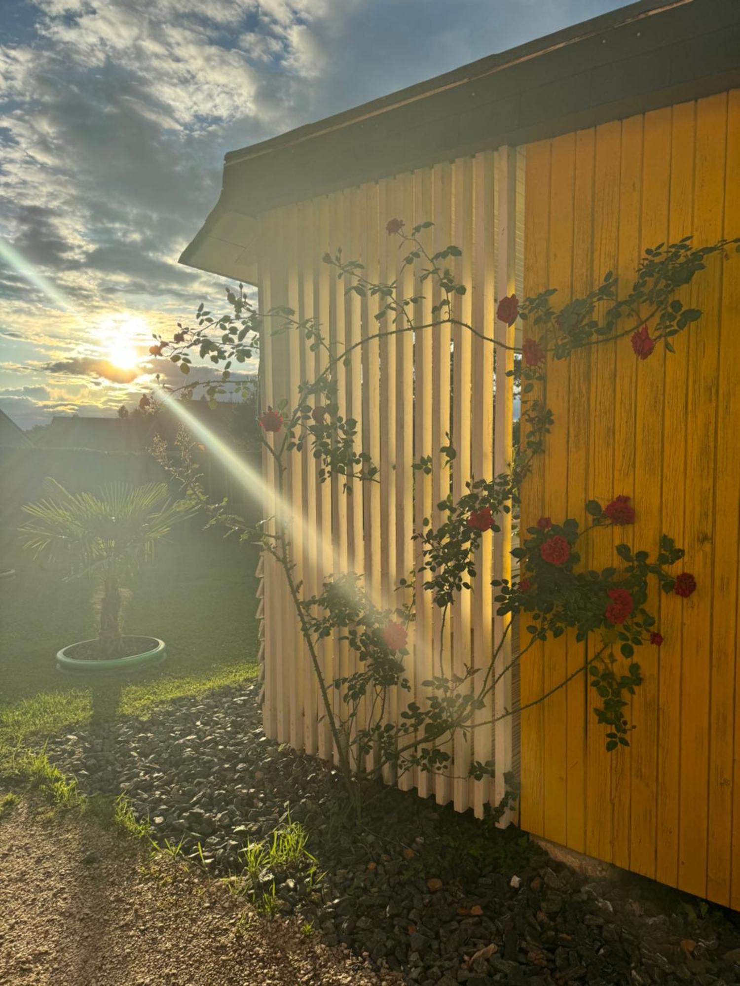 Sonnenblume Am Klopeiner Apartment